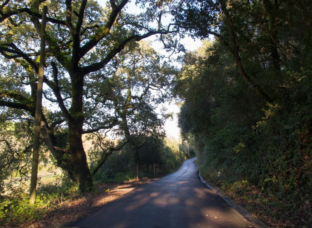 Quinta De Sao Tadeu Ξενοδοχείο Σίντρα Εξωτερικό φωτογραφία