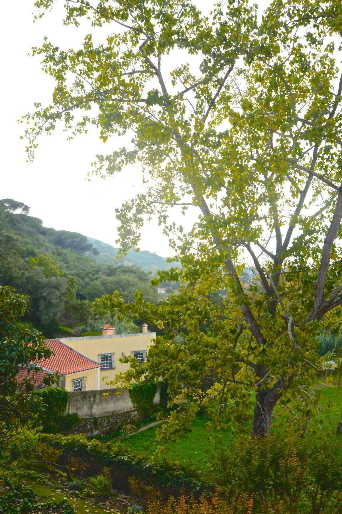 Quinta De Sao Tadeu Ξενοδοχείο Σίντρα Εξωτερικό φωτογραφία