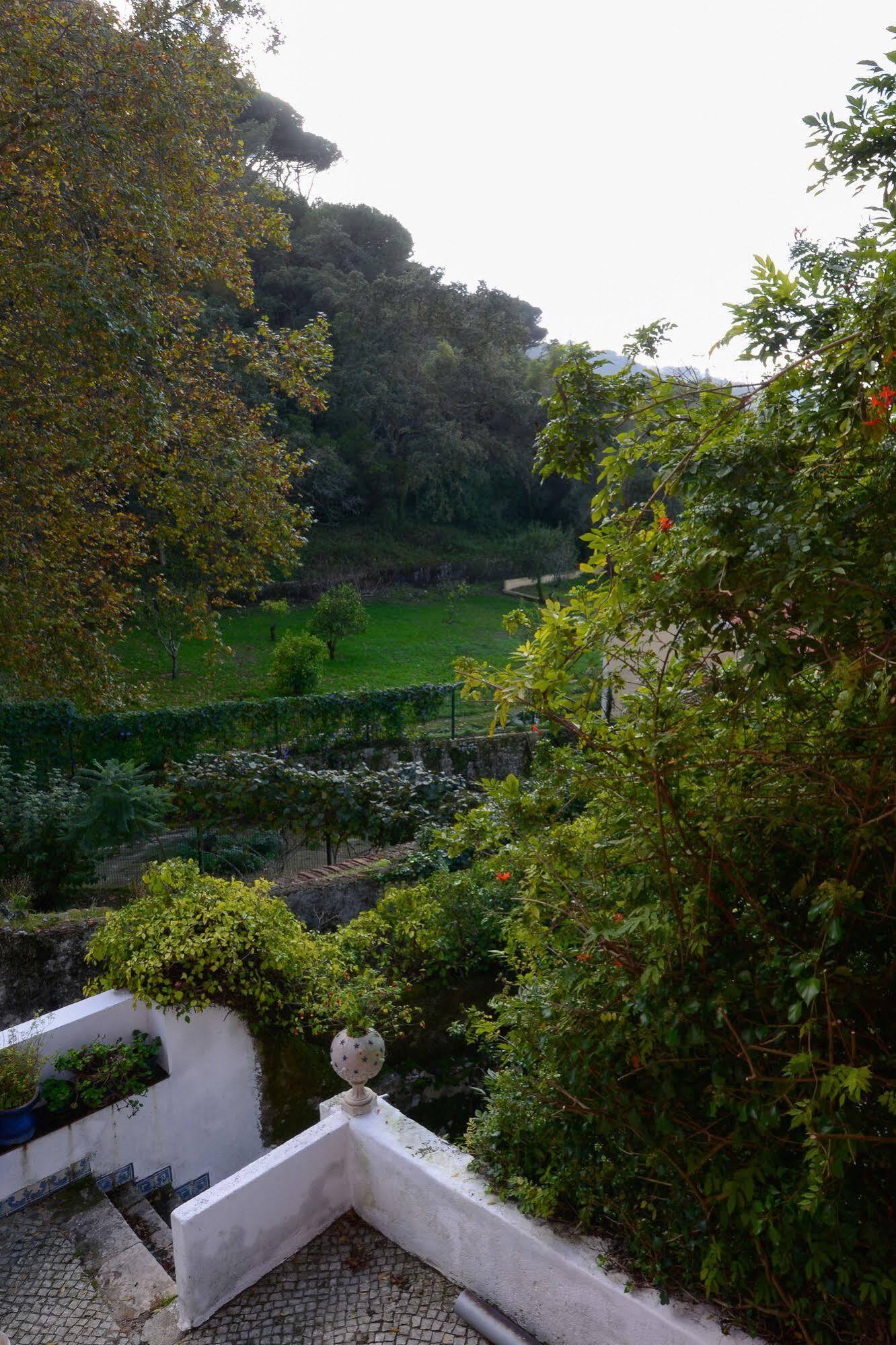 Quinta De Sao Tadeu Ξενοδοχείο Σίντρα Εξωτερικό φωτογραφία
